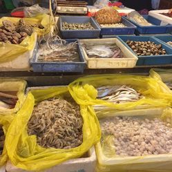 王頂?shù)趟a(chǎn)批發(fā)市場(chǎng) 電話、地址、價(jià)格與營(yíng)業(yè)時(shí)間全攻略