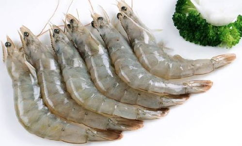 水產(chǎn)品進(jìn)口注意事項(xiàng)