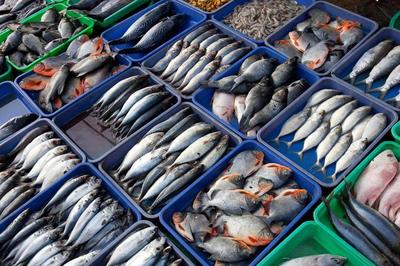 海鮮供應價穩量足——大連遼漁國際水產品市場采訪記