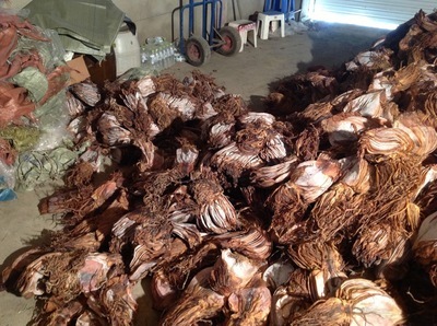 優品推薦 朝鮮干制水產品魷魚干——海鮮特產系列