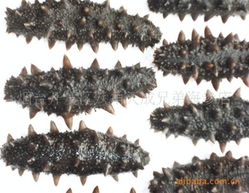 煙臺開發(fā)區(qū)八角天成兄弟海參店 精選干制水產(chǎn)品列表