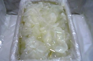 大連特產(chǎn) 爽脆鮮美的腌制海蜇頭，盡顯海洋饋贈的魅力