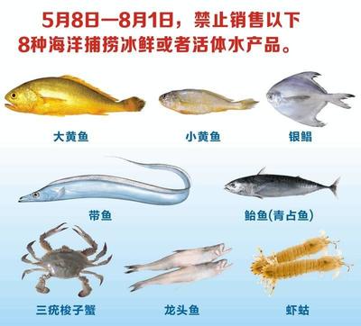 象山全面禁漁再升級 冰鮮水產品禁售，海鮮市場迎來最嚴監管